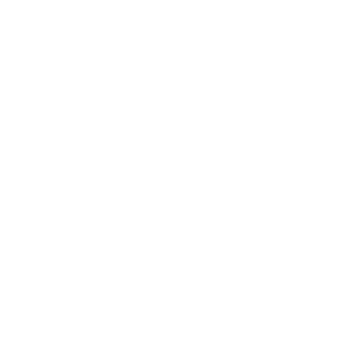 Explica'ns el teu projecte